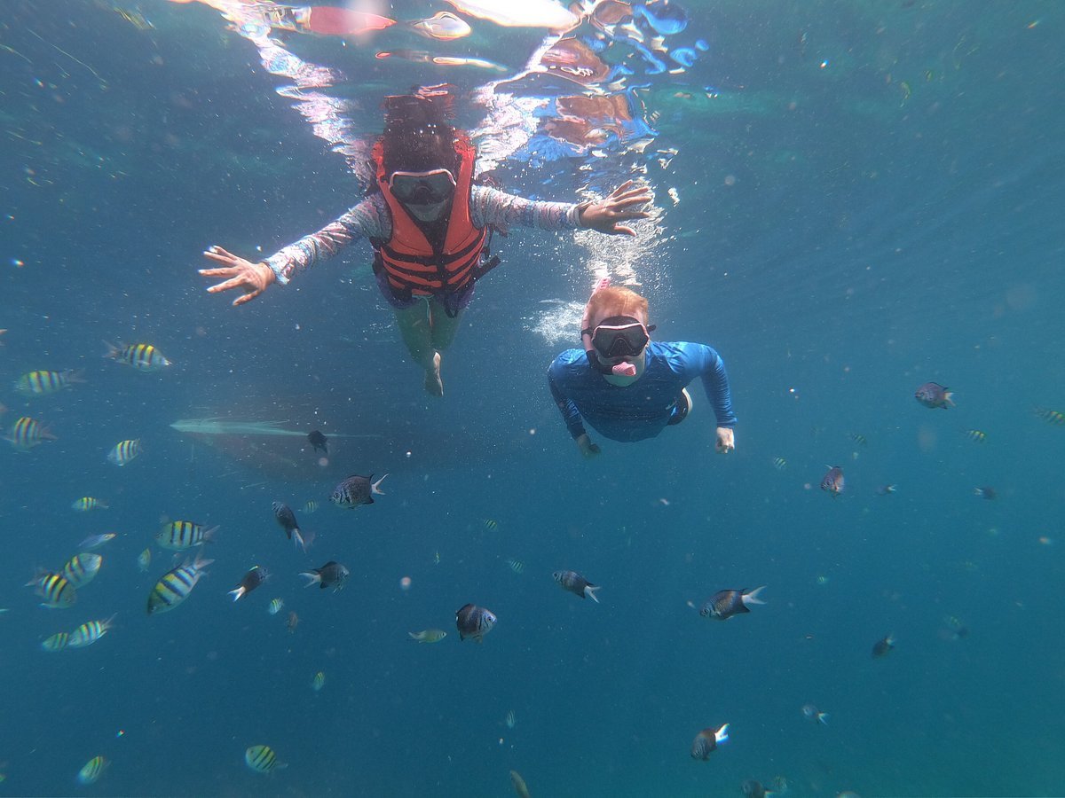 🏖️ 히콧토랜드 마린 비치(니시야마 해수욕장) 이미지 4